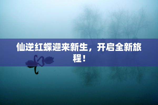 仙逆红蝶迎来新生，开启全新旅程！