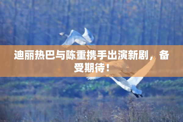 迪丽热巴与陈重携手出演新剧，备受期待！