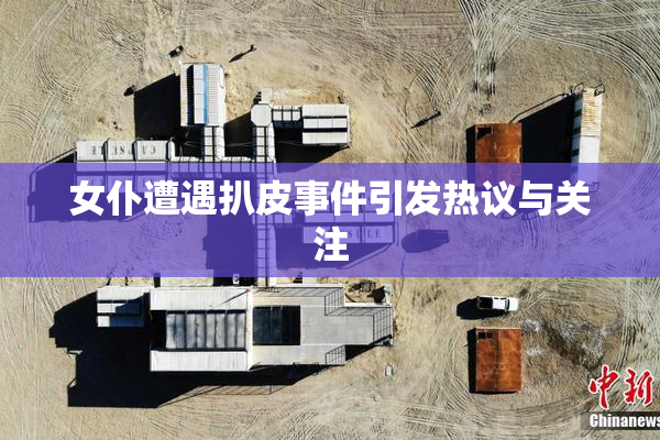 女仆遭遇扒皮事件引发热议与关注