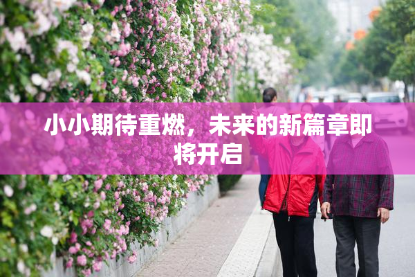 小小期待重燃，未来的新篇章即将开启