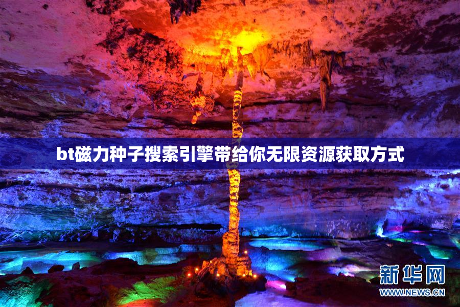 bt磁力种子搜索引擎带给你无限资源获取方式