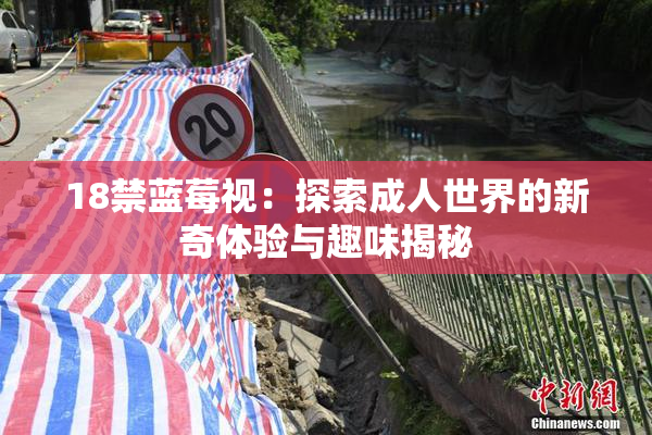 18禁蓝莓视：探索成人世界的新奇体验与趣味揭秘