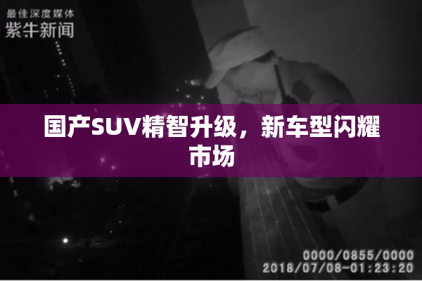 国产SUV精智升级，新车型闪耀市场