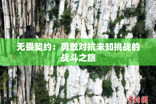 无畏契约：勇敢对抗未知挑战的战斗之旅