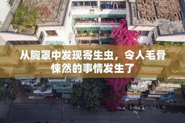 从胸罩中发现寄生虫，令人毛骨悚然的事情发生了