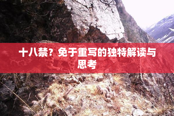 十八禁？免于重写的独特解读与思考