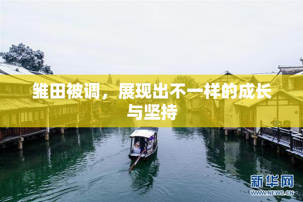 雏田被调，展现出不一样的成长与坚持