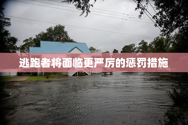 逃跑者将面临更严厉的惩罚措施