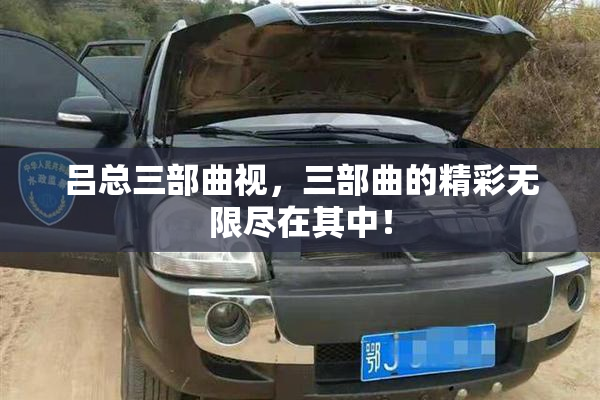 吕总三部曲视，三部曲的精彩无限尽在其中！
