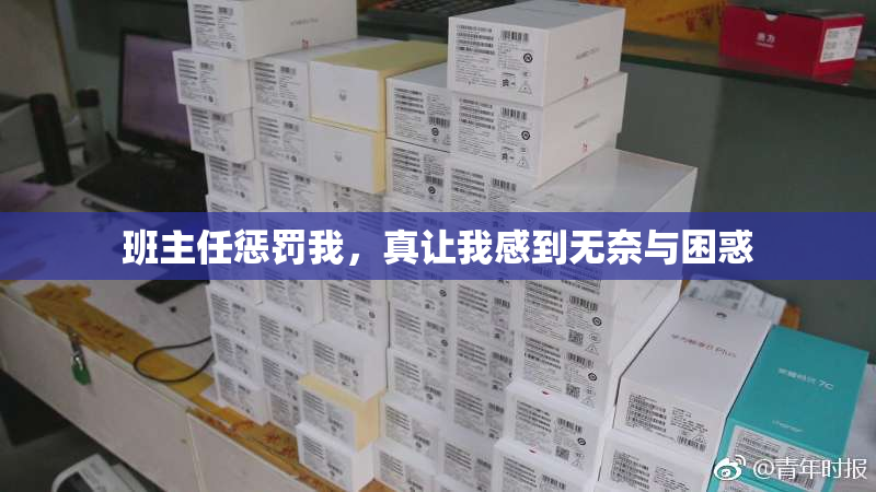 班主任惩罚我，真让我感到无奈与困惑