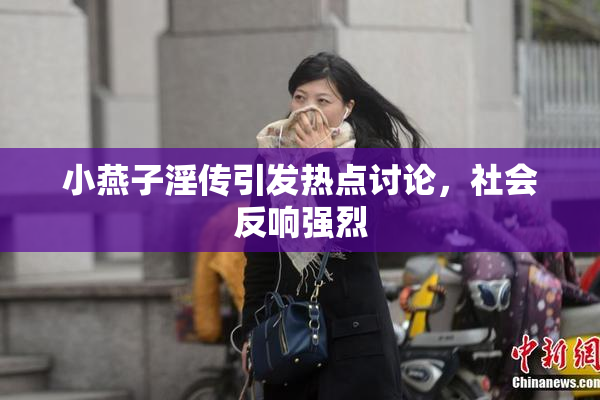 小燕子淫传引发热点讨论，社会反响强烈