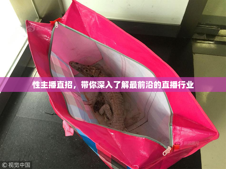 性主播直招，带你深入了解最前沿的直播行业