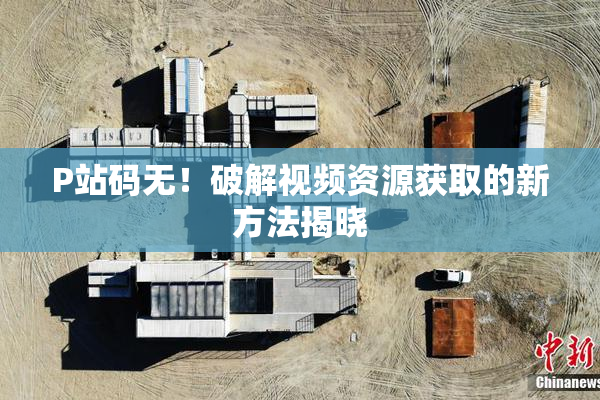 P站码无！破解视频资源获取的新方法揭晓