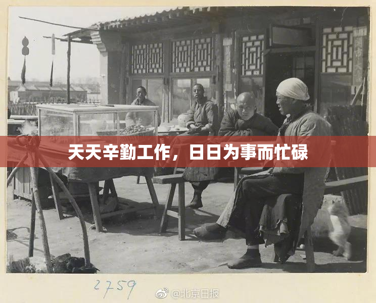 天天辛勤工作，日日为事而忙碌