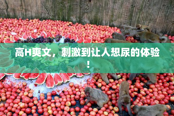 高H爽文，刺激到让人想尿的体验！