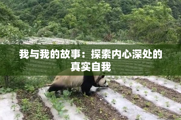 我与我的故事：探索内心深处的真实自我