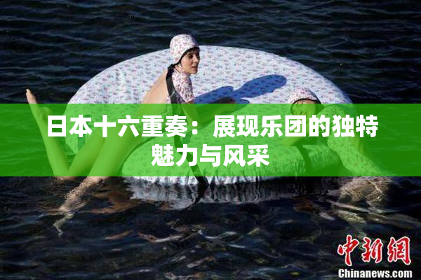 日本十六重奏：展现乐团的独特魅力与风采