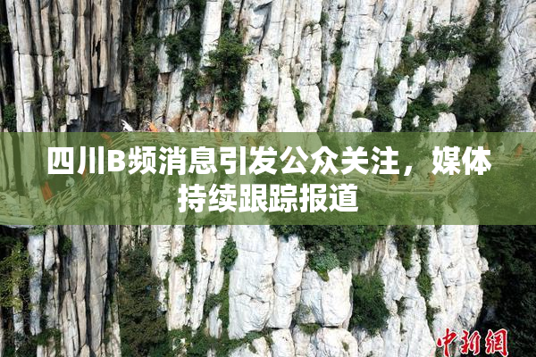 四川B频消息引发公众关注，媒体持续跟踪报道