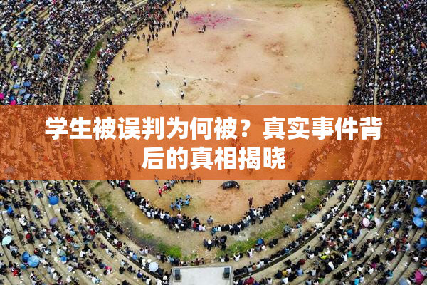 学生被误判为何被？真实事件背后的真相揭晓