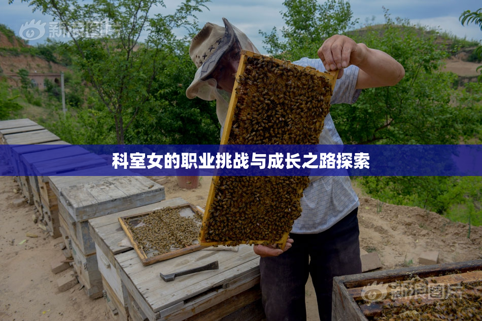 科室女的职业挑战与成长之路探索