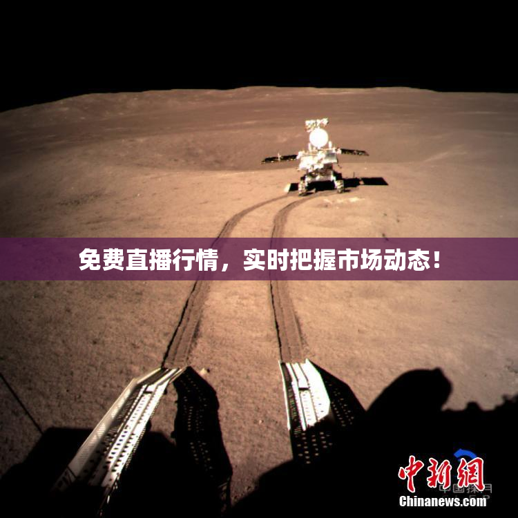 免费直播行情，实时把握市场动态！
