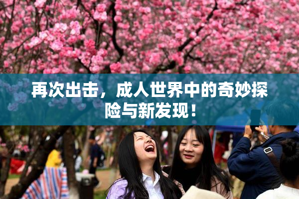 再次出击，成人世界中的奇妙探险与新发现！