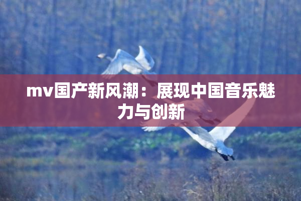 mv国产新风潮：展现中国音乐魅力与创新
