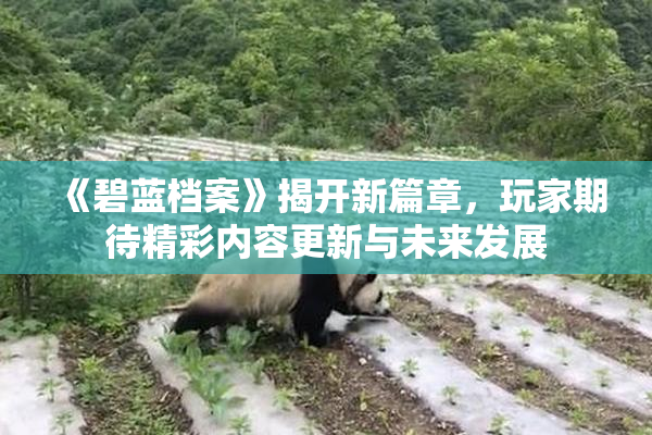 《碧蓝档案》揭开新篇章，玩家期待精彩内容更新与未来发展