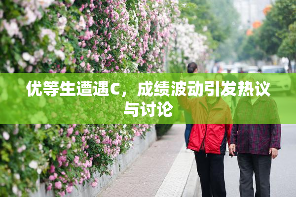 优等生遭遇C，成绩波动引发热议与讨论
