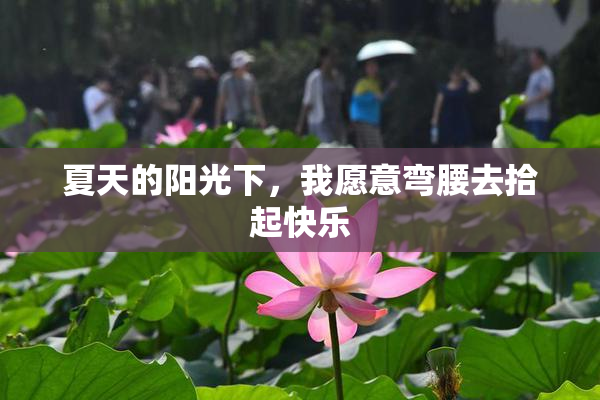 夏天的阳光下，我愿意弯腰去拾起快乐