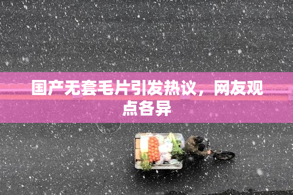 国产无套毛片引发热议，网友观点各异