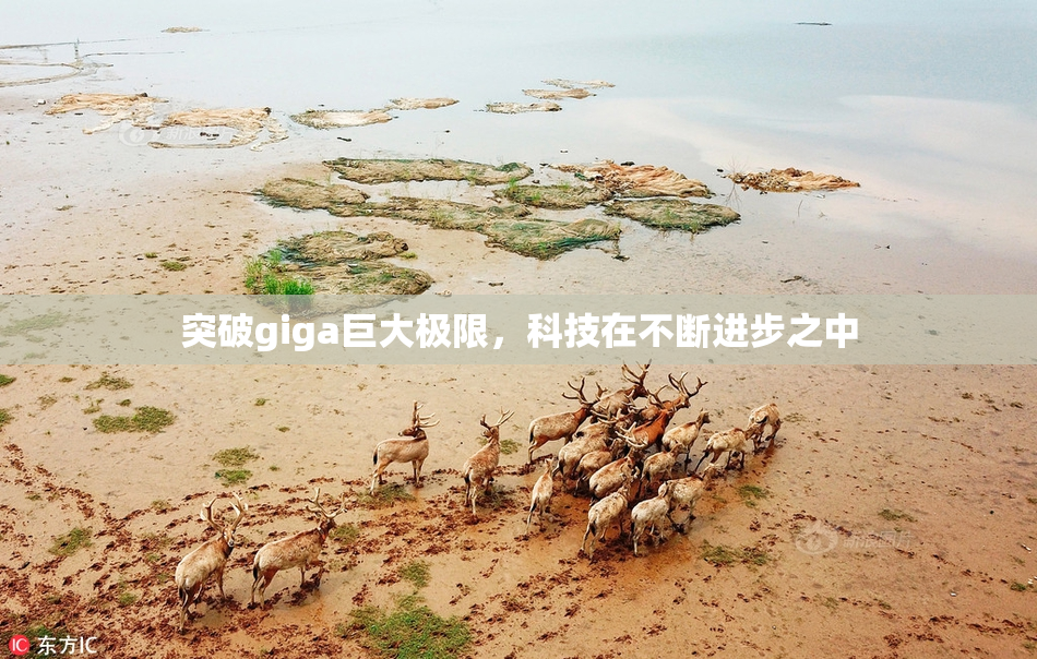 突破giga巨大极限，科技在不断进步之中
