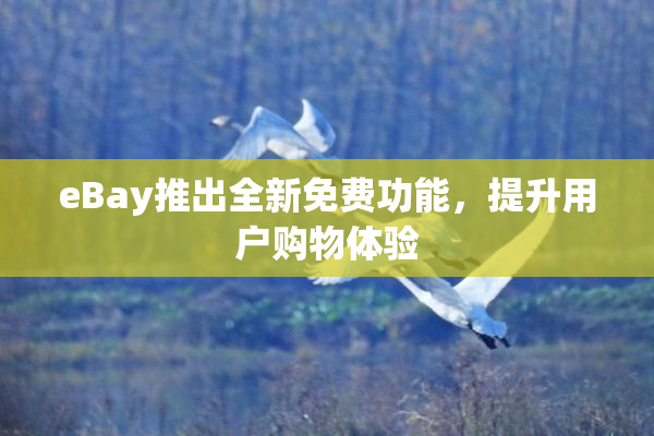 eBay推出全新免费功能，提升用户购物体验