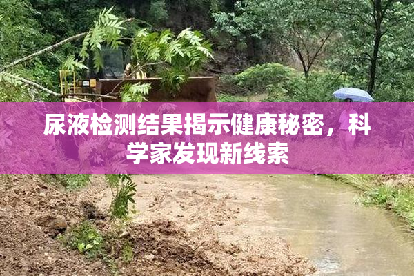 尿液检测结果揭示健康秘密，科学家发现新线索