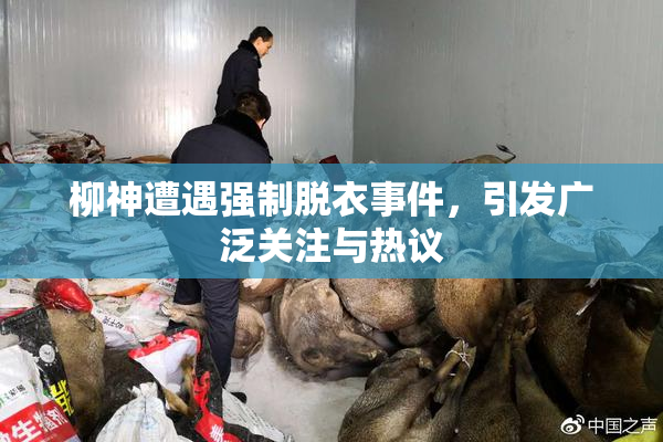 柳神遭遇强制脱衣事件，引发广泛关注与热议