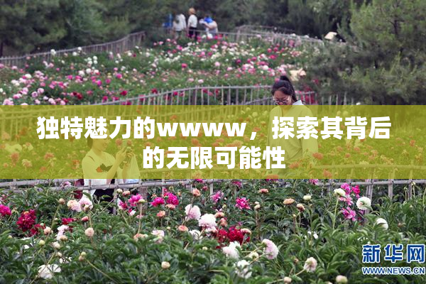 独特魅力的wwww，探索其背后的无限可能性