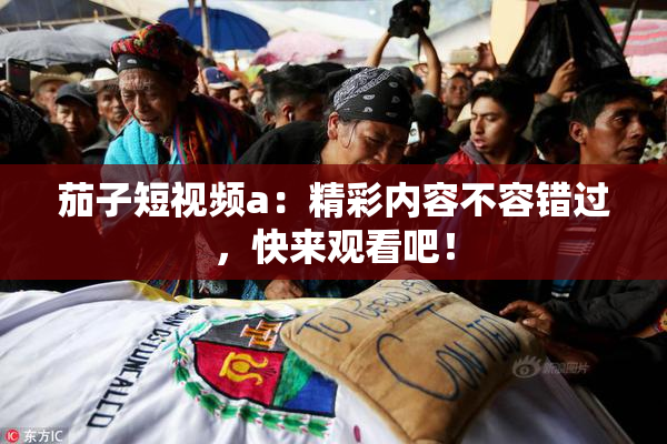 茄子短视频a：精彩内容不容错过，快来观看吧！