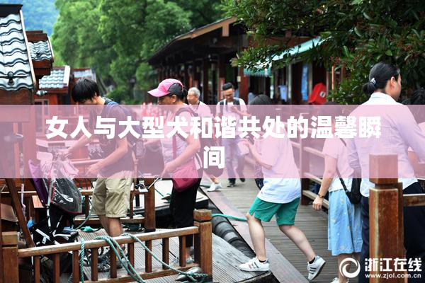女人与大型犬和谐共处的温馨瞬间