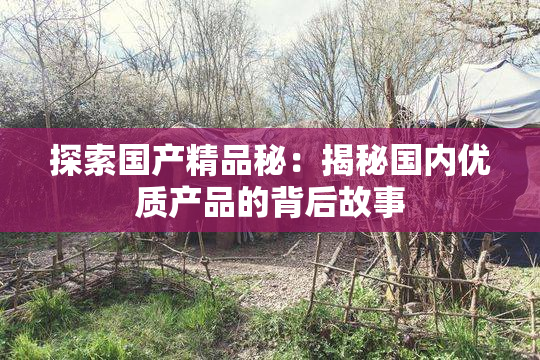 探索国产精品秘：揭秘国内优质产品的背后故事