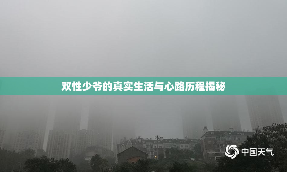 双性少爷的真实生活与心路历程揭秘