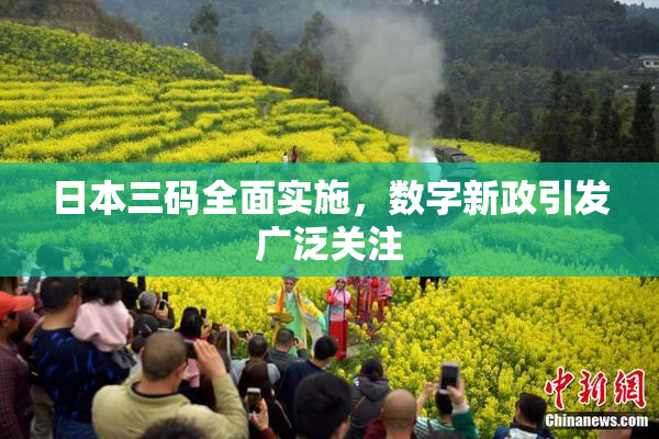 日本三码全面实施，数字新政引发广泛关注
