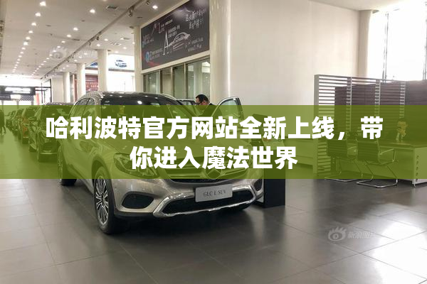 哈利波特官方网站全新上线，带你进入魔法世界