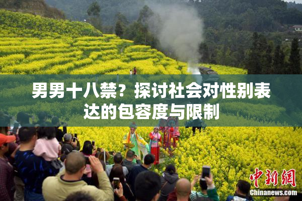 男男十八禁？探讨社会对性别表达的包容度与限制