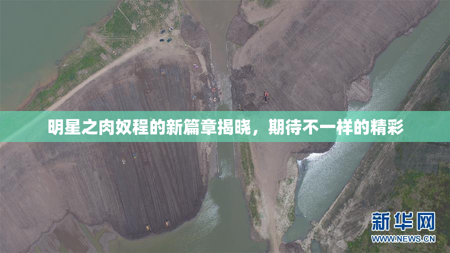 明星之肉奴程的新篇章揭晓，期待不一样的精彩