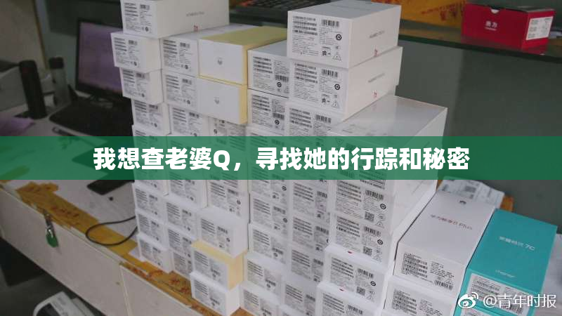 我想查老婆Q，寻找她的行踪和秘密