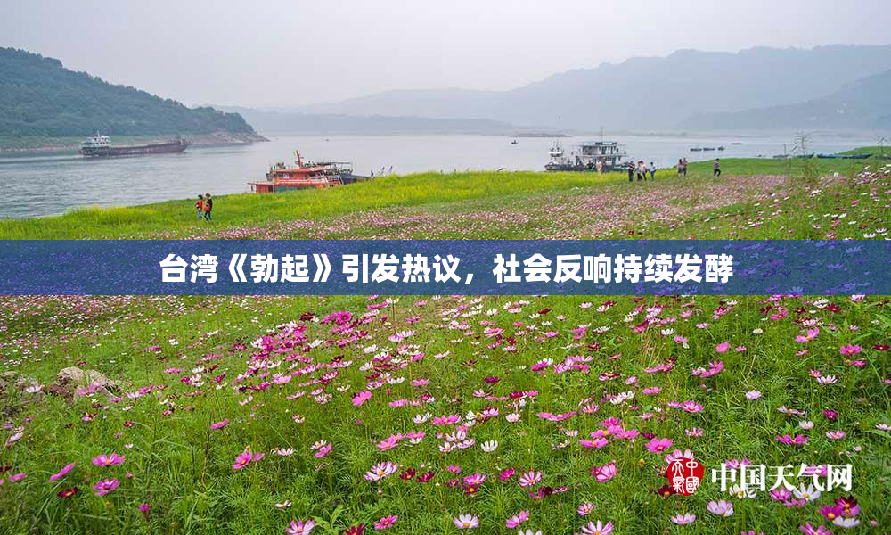 台湾《勃起》引发热议，社会反响持续发酵