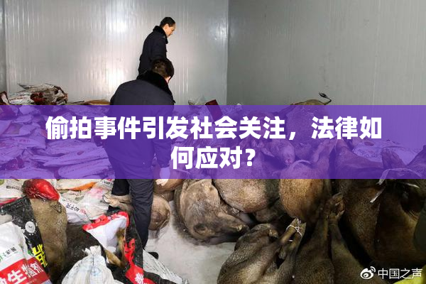 偷拍事件引发社会关注，法律如何应对？
