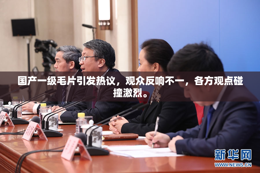国产一级毛片引发热议，观众反响不一，各方观点碰撞激烈。