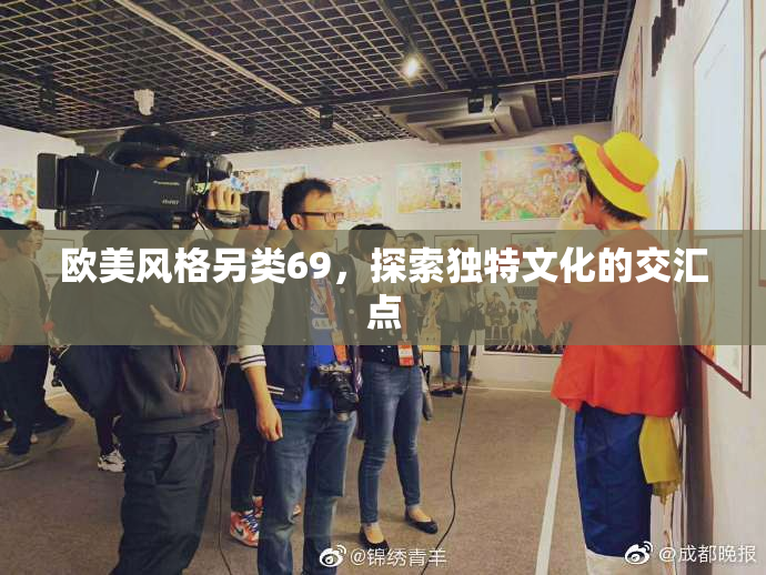 欧美风格另类69，探索独特文化的交汇点