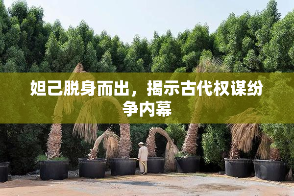 妲己脱身而出，揭示古代权谋纷争内幕